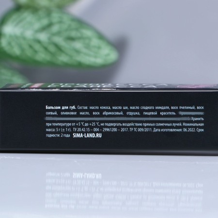 Lip balm, 5 g, berry aroma, Beauty Fookh-4