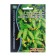 Cucumber seeds "Envy", F1, 5 pcs.