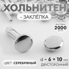 Хольнитен-заклёпка, двусторонний, d = 6 × 10 мм, цвет серебряный, цена за 1 штуку