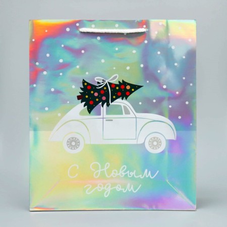 Holographic package “I am in a hurry to you”, m 26 x 30 x 9 cm, new year-1