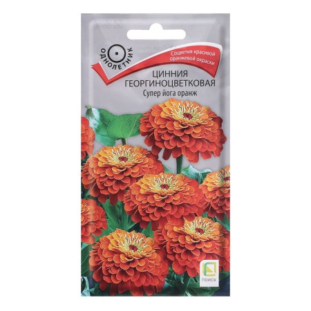 Seeds of Tsinnia dahlia "Super Yoga Orange", 0.4g.