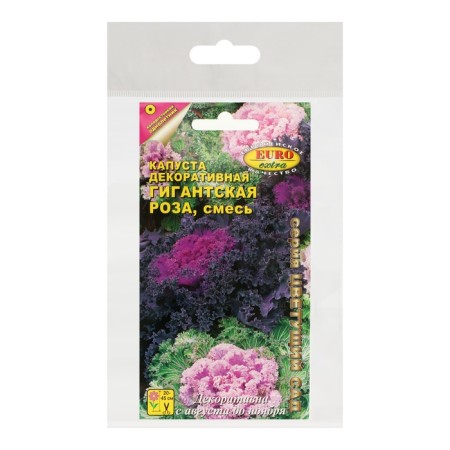 Seeds of flowers of cabbage decorative "giant rose", mixture, set 5 pcs-2