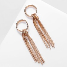 Earrings hanging 