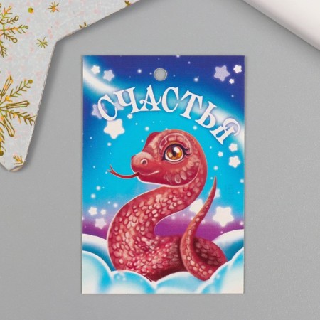 Cardboard Biro "Wishes from Snakes" set of 10 pcs (5 types) 4x6 cm-2