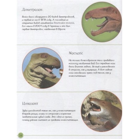 Encyclopedia of dinosaurs and the most unusual prehistoric animals-4