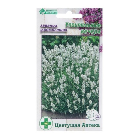 Lavender seeds are narrow -leaved "Disputable evenings", 5 pcs