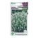 Lavender seeds are narrow -leaved "Disputable evenings", 5 pcs
