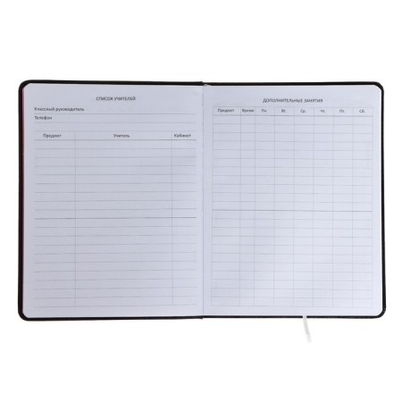 Universal diary for grade 1-11 CAT, hard cover, artificial leather, foam rubber, liescse, 80 g/m2-5