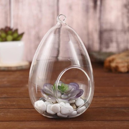 Florarium "Having" D-BLS-5.5 cm 9x9x16 cm-1