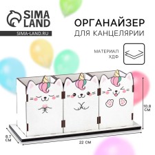 Organizer for the Office 