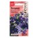 Flowers of Petunia "Shock Weive Denim", F1, 5 pcs