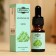 Essential oil "Mint", convenient dispenser, 10ml, "Dobroparov"