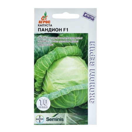 Cabbage Cabbage seeds "Pandion" F1 10pcs* Economy