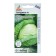 Cabbage Cabbage seeds "Pandion" F1 10pcs* Economy