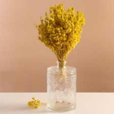 Set of dried flowers 