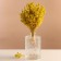 Set of dried flowers "chandra", banch length 40 (+/- 6 cm), apple