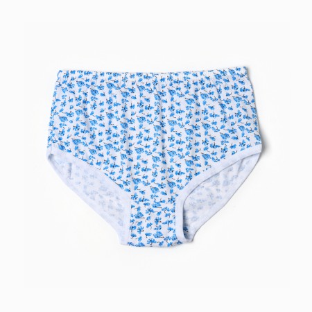 Cowards female slips, color mix, size 50-7