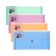 Folder-convert on a 260 x 132 mm button (Travel), 550 μm, Erichkrause "Matt Pastel Bloom", with an extension, 4 compartments, translucent, embossing "sand", mix