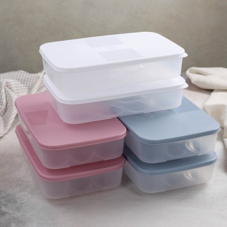 A set of containers for eggs, 2 pcs, 22.5 × 15 × 7.5 cm, color mix-3