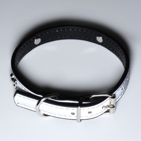 A collar with bones reflective, 37 x 1.3 cm, Osh 26-33, black-8
