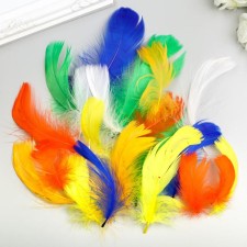 Decorative feathers 