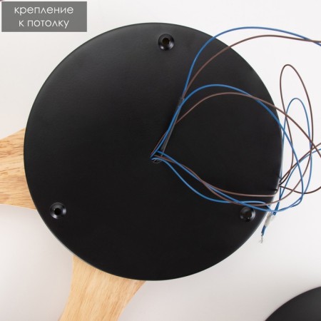 Piartti chandelier 4LED 96W 3000-6000K Black 65x48x5 cm Bayerlux-8