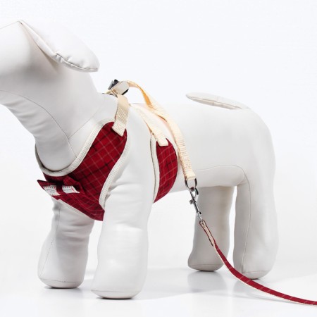 A set with a soft cliff "cells", size m, leash, 120 x 1.5 cm, og 34-66 cm, red-3