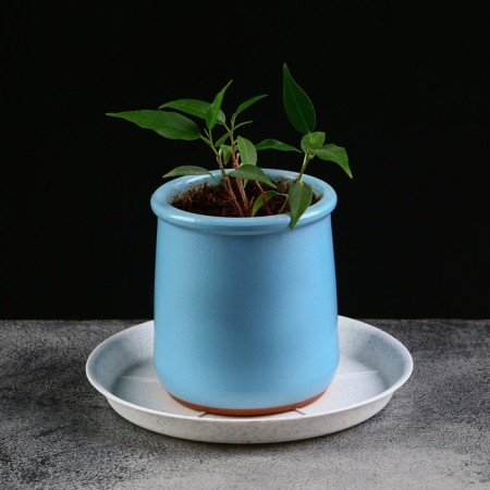 Patron for the pot, d = 12.3 cm, plastic, color marble-3