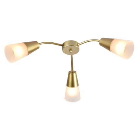 Ceiling lamp Aquilegia E14x40W