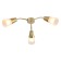 Ceiling lamp Aquilegia E14x40W