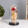 Nightlight "Bear with Flower" LED red 3HAAA 10.5x10.5x22cm