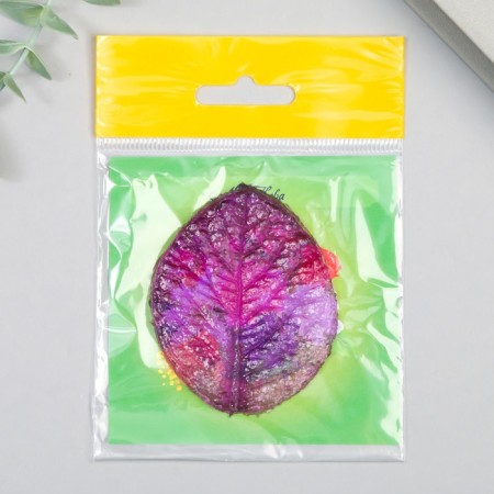 Acrylic Mold "Hydrangea Leaf" 6.5x5 cm mix-2