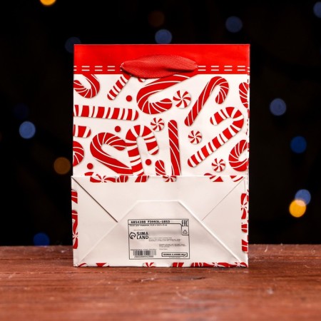 Laminated "New Year's lollipation" package 11.5 x 14.5 x 6 cm-1