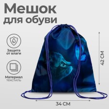 A bag for shoes 420 x 340 mm, calligrata MSO-5s, (soft polyester, density 210d), 