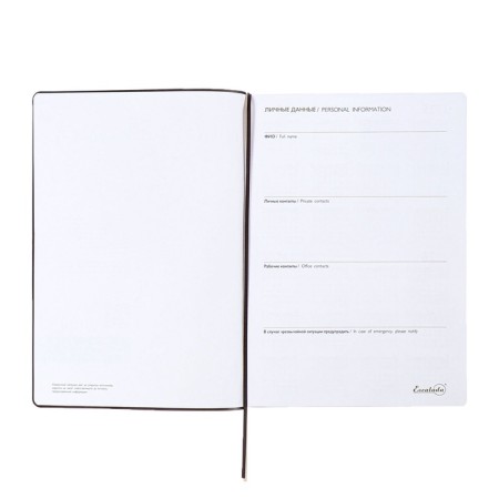 Dated 2025 diary, Escalada, A4, 120 sheets, soft cover, artificial leather, foil embossing, liesse, block 80 g/m2, brown-5