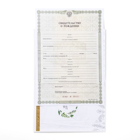 Folder for birth certificate "Bunny", A5-4