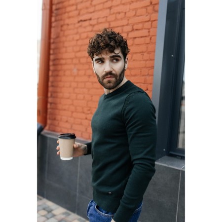 Jumper male ise, size 58, emerald color-10