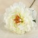 Artificial flowers "velvet peony" 15x55 cm, white