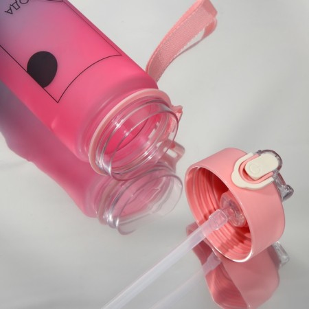 Water bottle "Source of life", 700 ml-4