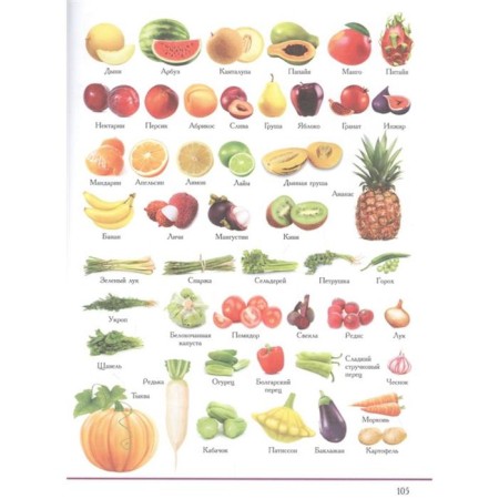 Children's Encyclopedia about everything in the world in 2000 illustrations that can be considered for a whole year. Tarakanova M.V.-5