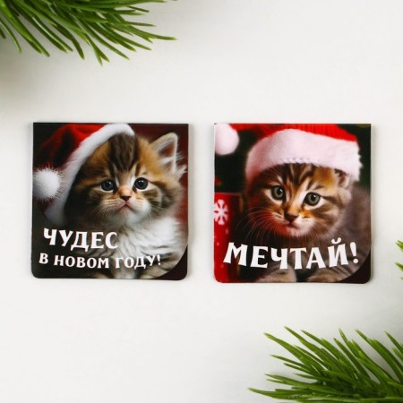 New Year. Bookmarks for books Magnetic 2 pcs on the substrate "Miracles in the New Year!"-2