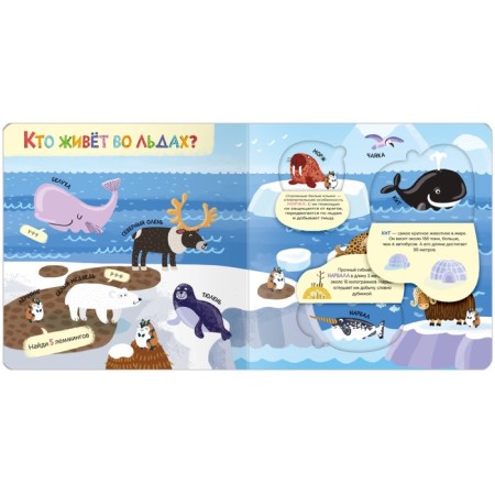 Books with windows. Animal world-2