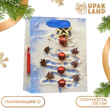Package Laminated "Image" 11.5 x 14.5 x 6 cm-2