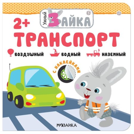 Smart Bunny. Transport