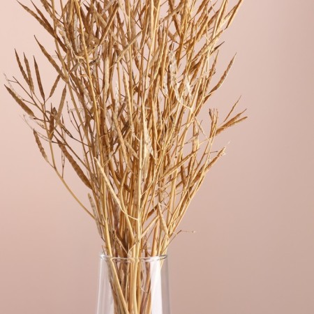 Set of dried flowers "mustard" banch length 60 (+/- 6 cm), natural-1