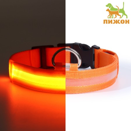 Collar with backlight size L, Osh 45-52 x 2.5 cm, 3 lumines of the glow orange