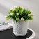 Pot for flowers with the Podon "Rotan", 1.2 l, the color is white