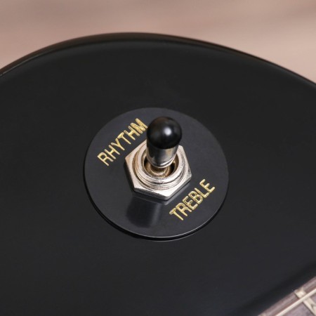Terris TLP-039 BK Les Paul, HH, 2V2T, Black Color-6