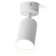 The lamp wall-flowing Feron ML1871, IP20, GU10, 35 W, 55x55x165 mm, white color
