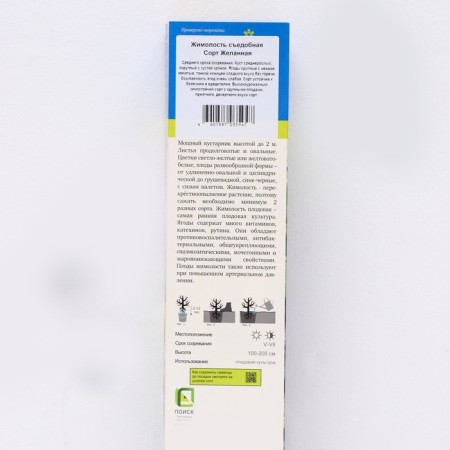 Edible honeysuckle (Northern Garden series) "Desired", 1 pc, tube, spring 2025-1